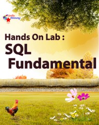 Image of Hands On Lab:
SQL Fundamental